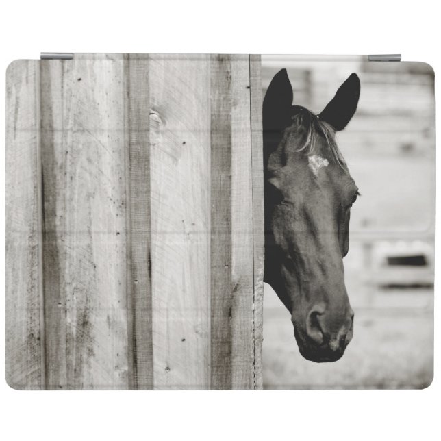 Curious Black Horse iPad Smart Cover (Horizontal)