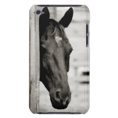 Curious Black Horse iPod Case-Mate Case (Back)