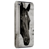 Curious Black Horse iPod Case-Mate Case (Back/Right)