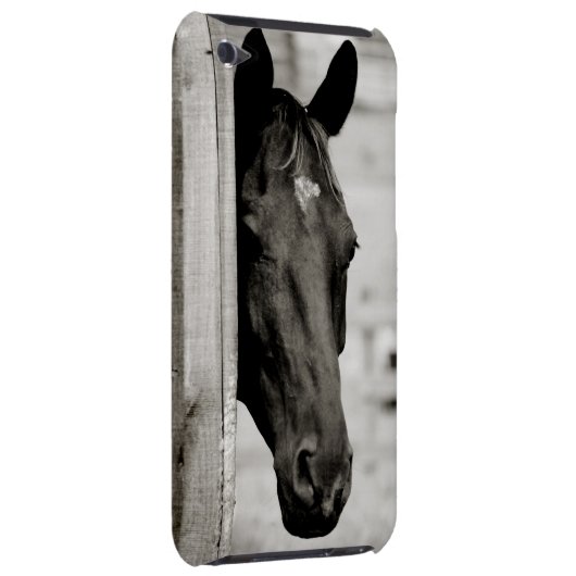 Curious Black Horse iPod Case-Mate Case (Back/Right)
