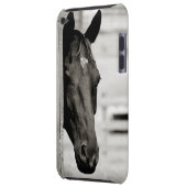 Curious Black Horse iPod Case-Mate Case (Back Left)