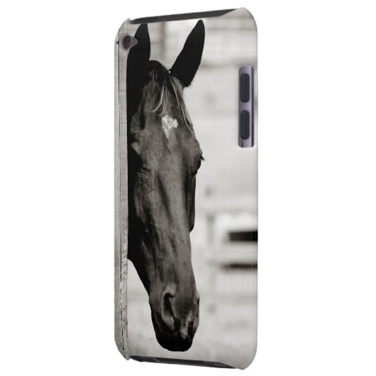 Curious Black Horse iPod Case-Mate Case (Back Left)