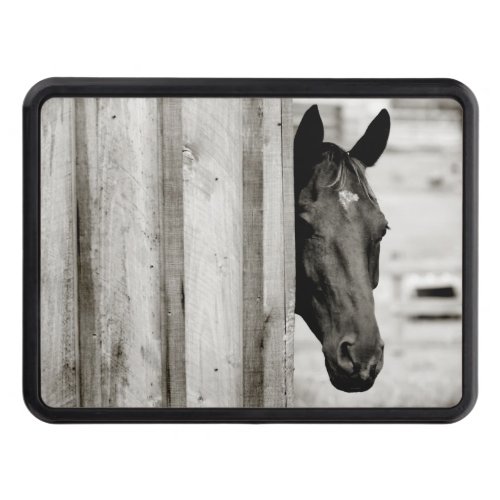 Curious Black Horse Trailer Hitch Cover