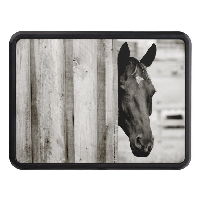 Curious Black Horse Trailer Hitch Cover (Front)