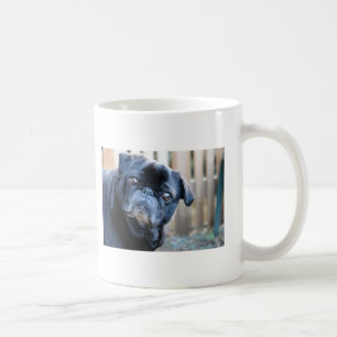 Curious Black Pug Mug