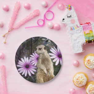 Curious Bloom: Meerkat Among Purple Daisies Paper Plates