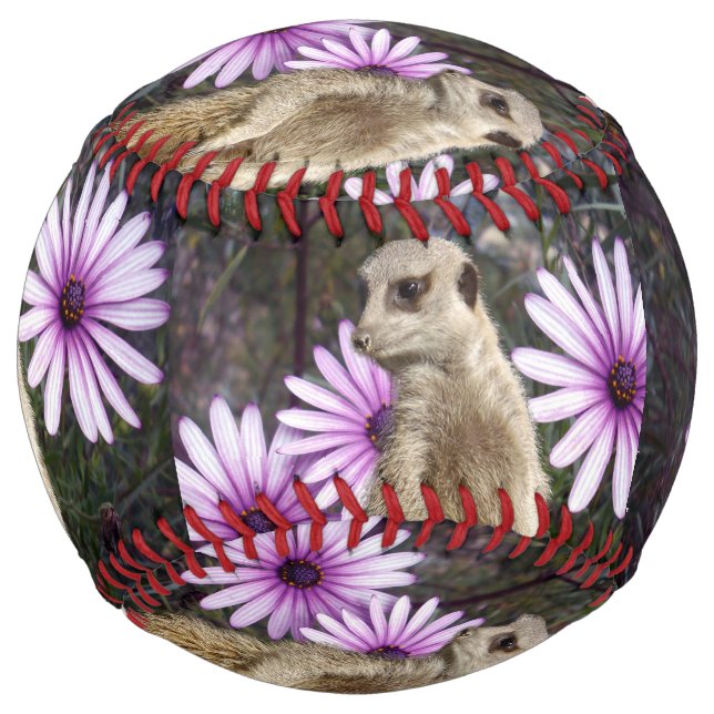 Curious Bloom: Meerkat Among Purple Daisies Softball (Front)