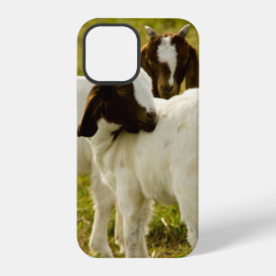 Curious Boer Goats in Sunny Pasture Farm Nature iPhone 12 Pro Case
