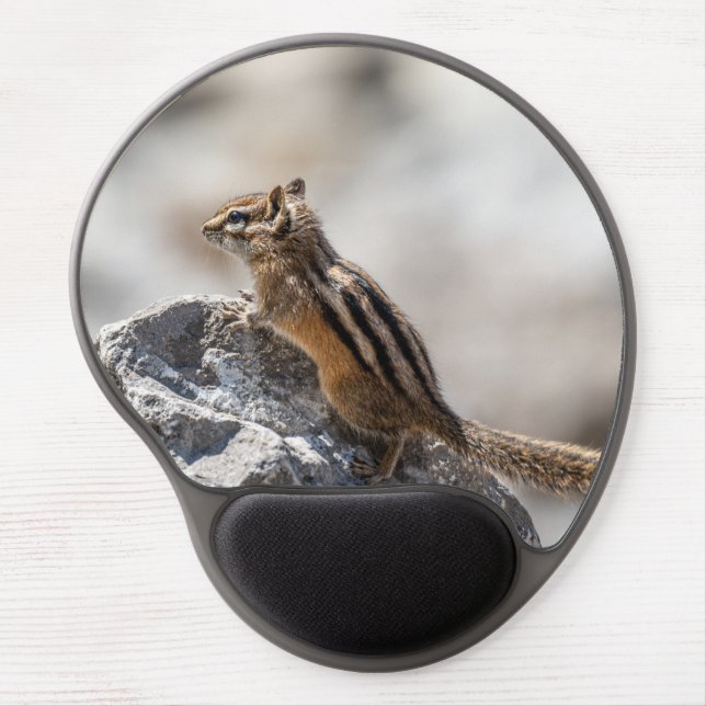 Curious Brown Chipmunk in Alberta Gel Mouse Pad (Front)