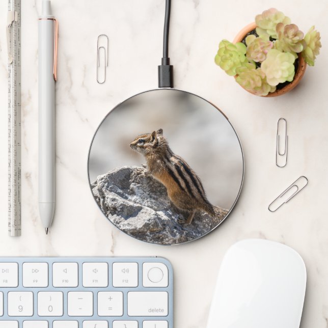 Curious Brown Chipmunk in Nature Wireless Charger (Desk)