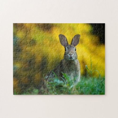 Curious Bunny Jigsaw Puzzle