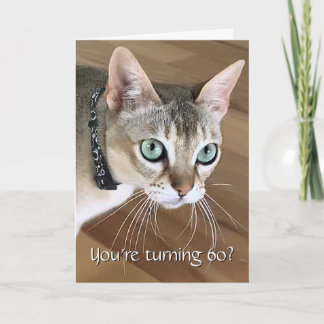 Curious Cat 60th Birthday Card