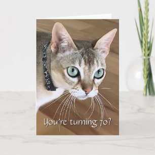 Curious Cat 70th Birthday Card