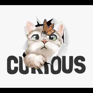 Curious Cat Baby T-Shirt