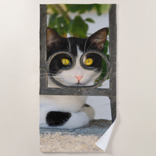 Curious Cat Eyes with Spectacles Frame Funny Photo Beach Towel