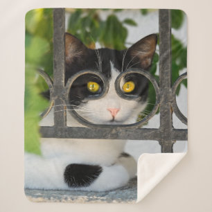 Curious Cat Eyes with Spectacles Frame Funny Photo Sherpa Blanket