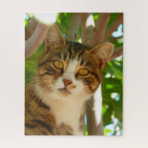 Curious Cat Jigsaw Puzzle