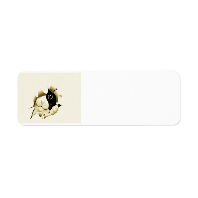 Curious Cat Label (Front)