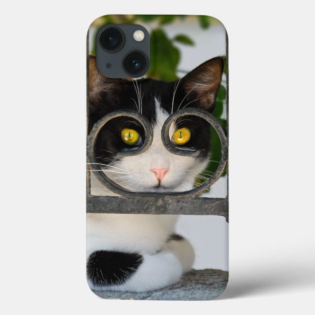 Curious Cat with Spectacles Frame a Funny Photo - Case-Mate iPhone Case (Back)