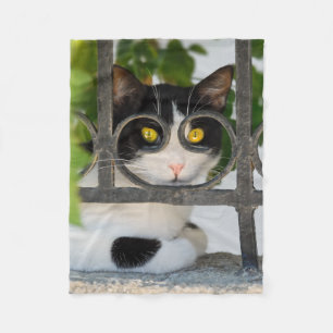 Curious Cat with Spectacles Frame Funny - comfy Fleece Blanket