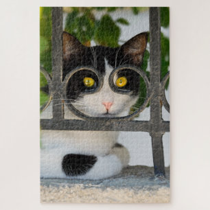 Curious Cat with Spectacles Frame Funny Jigsaw Puzzle