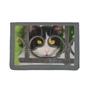 Curious Cat with Spectacles Frame Funny Pet Photo Tri-fold Wallet
