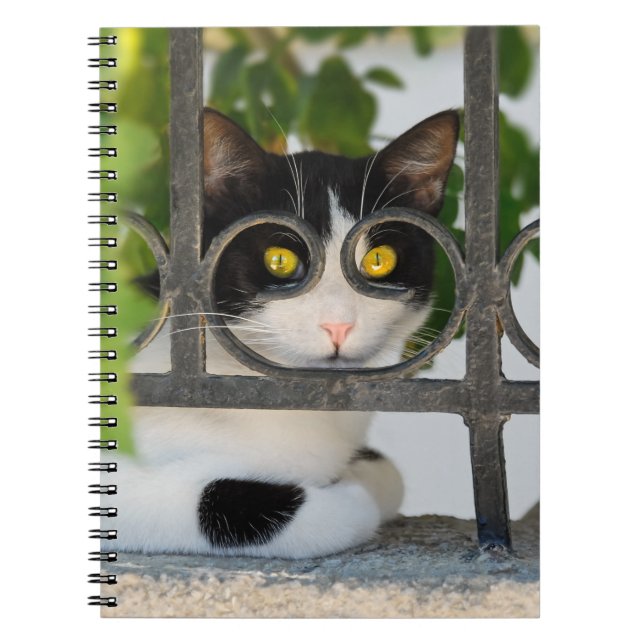 Curious Cat with Spectacles Frame Funny Photocover Notebook (Front)
