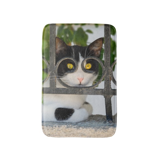 Curious Cat with Spectacles Frame Funny soft small Bathroom Mat (Front Vertical)