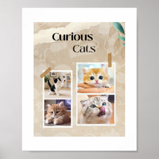 Curious Cats Collage Poster