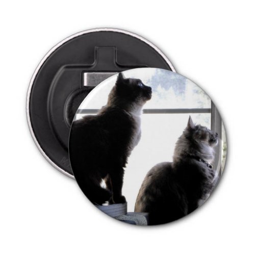 Curious Cats Looking Out Window Kitties Photograph Bottle Opener