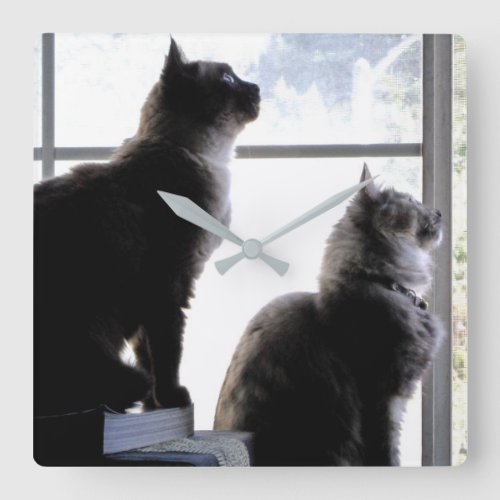 Curious Cats Looking Out Window Kitties Photograph Square Wall Clock