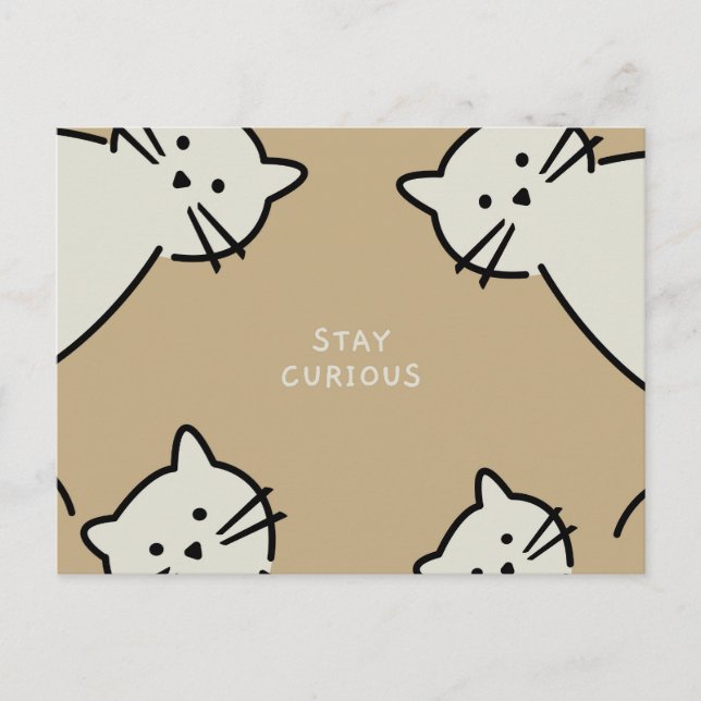 Curious Cats Postcard (Front)