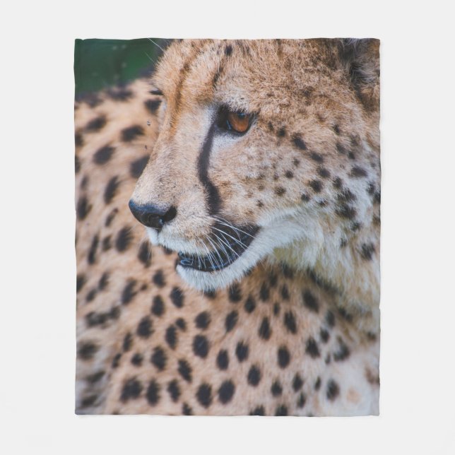 CURIOUS CHEETAH FLEECE BLANKET (Front)