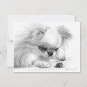 Curious Chihuahua Hand Painted Dog Artwork Postcard