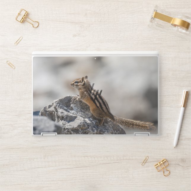 Curious Chipmunk – Alberta Wildlife Photo HP Laptop Skin (Desk)