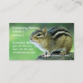 Curious Chipmunk  Business Cards by WildlifeAnimals at Zazzle
