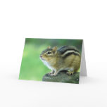 Curious Chipmunk  Greeting Card