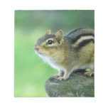 Curious Chipmunk  Notepad