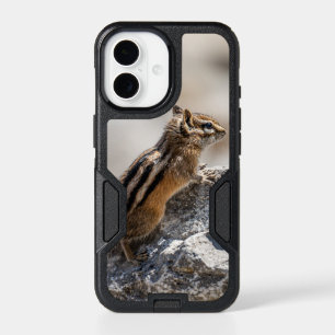 Curious Chipmunk on Cozy Rock iPhone 17 Case