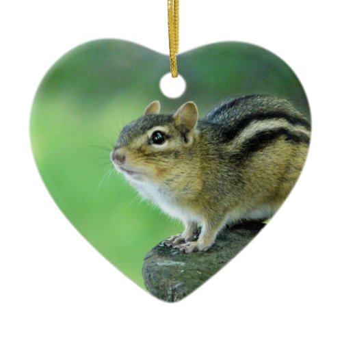 Curious Chipmunk  Ornament