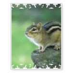 Curious Chipmunk Temporary Tattoos
