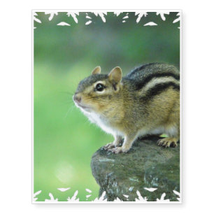 Curious Chipmunk Temporary Tattoos