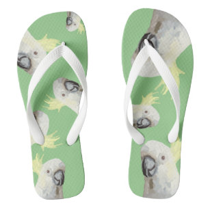 cockatoo slippers