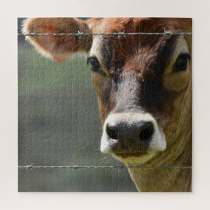 Curious Cow Looking Through a Barbed Wire Fence Jigsaw Puzzle