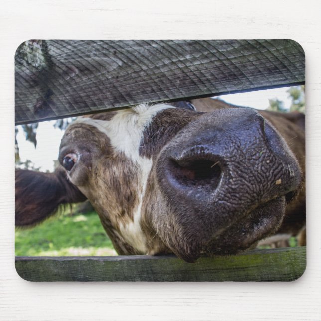 Curious Cow Mouse Pad (Front)