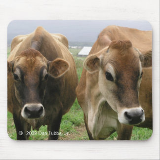 Curious cows mouse pad