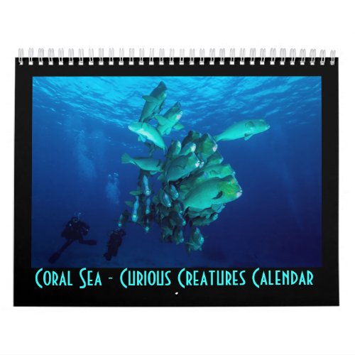 Curious Creatures Great Barrier Reef Coral Sea Calendar