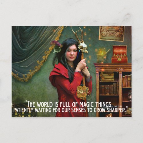 Curious  curator  postcard