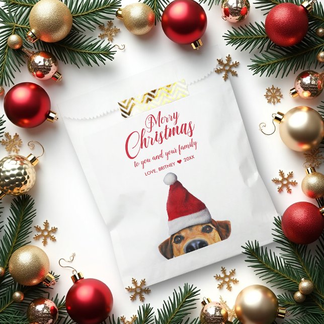 Curious Cute Funny Dog with Santa Hat Favor Bag (Creator Uploaded)