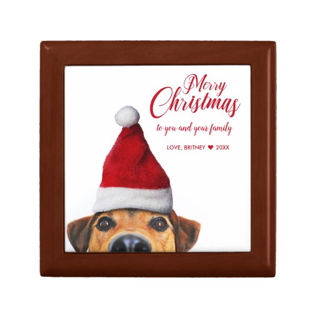 Curious Cute Funny Dog with Santa Hat Gift Box (Front)